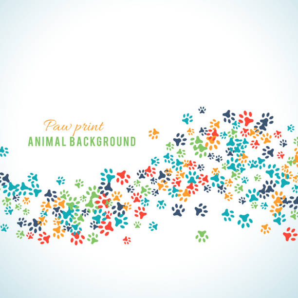 Colorful animal footprint ornament border isolated on white background Colorful animal footprint ornament border isolated on white background. Vector illustration for animal design. Random foot prints border. Many bright trail. Frame of cute paw trace. World wildlife day dog backgrounds stock illustrations