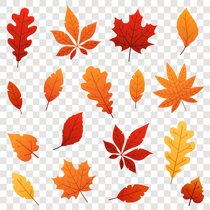 leaves autumn falling vector background transparent isolated colorful illustration clip illustrations graphics