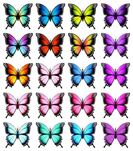 Colorful butterflies set. Vector. Colorful butterflies set. Vector. pink monarch butterfly stock illustrations