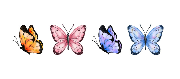 Colorful butterflies watercolor isolated on white background. Blue, orange, purple and pink butterfly. Spring animal vector illustration.