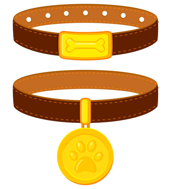 Colorful cartoon pet collar set Colorful cartoon pet collar set. Simple supplies for domestic animal. Cat and dog care themed vector illustration for icon, sticker, patch, label, badge, certificate or gift card decoration collar stock illustrations