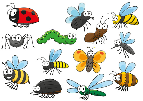 Colorful cartoon smiling insects characters