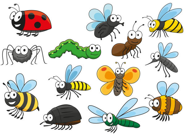 Colorful cartoon smiling insects characters Friendly smiling cartoon bee and bug, butterfly and caterpillar, fly and ladybug, spider and mosquito, wasp and ant, bumblebee, dragonfly and hornet characters. Colorful funny insects for t-shirt print, mascot, childish book or nature themes design  fly insect stock illustrations