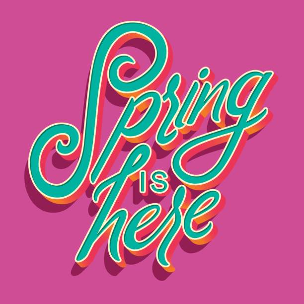 Colorful decorative handwritten typography design with spring is here text. Spring hand lettering illustration design. Colorful flat vector illustration. vector art illustration