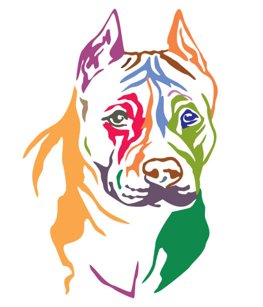 Colorful decorative portrait of Dog American Staffordshire Terrier vector illustration Colorful decorative portrait of dog American Staffordshire Terrier, vector illustration in different colors isolated on white background pit bull terrier stock illustrations
