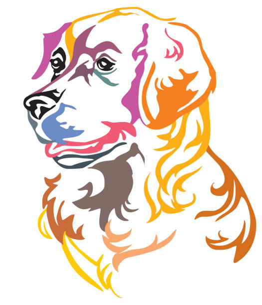 ilustrações de stock, clip art, desenhos animados e ícones de colorful decorative portrait of dog golden retriever vector illustration - golden retriever