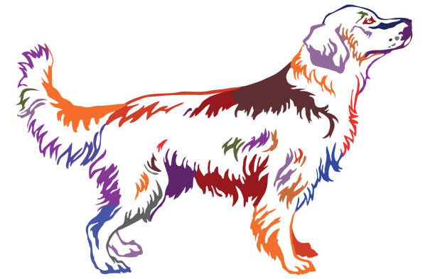 ilustrações de stock, clip art, desenhos animados e ícones de colorful decorative standing portrait of dog golden retriever, vector illustration - golden retriever