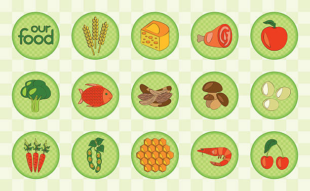 Colorful food set.  Checked design Colorful food set with corn, dairy products, meat, vegetables, seafood, eggs, berry and honey. Checked design. Vector illustration. corn beef and cabbage stock illustrations