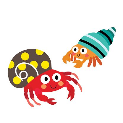 Colorful Hermit Crab animal cartoon character vector illustration.