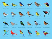 istock Colorful Little Birds Side View Cartoon Vector Illustration 517633950