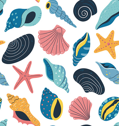 Colorful seashells pattern design