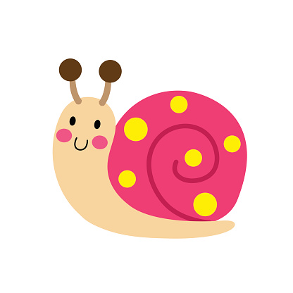 Colorful Snail animal cartoon character vector illustration.
