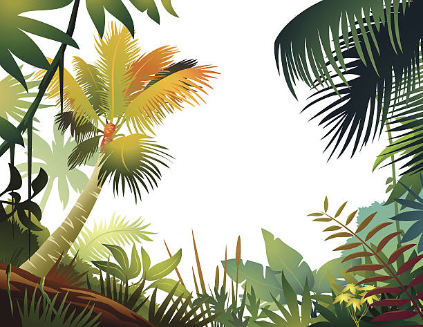 bunte tropische frame - urwald stock-grafiken, -clipart, -cartoons und -symbole