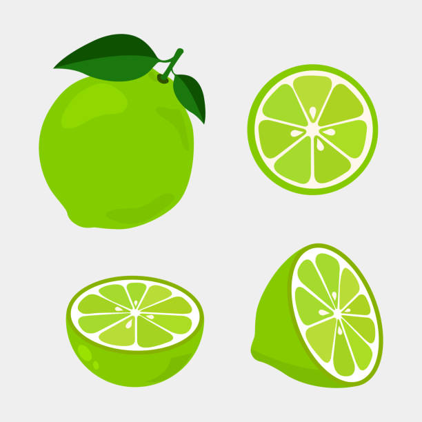 ilustrações de stock, clip art, desenhos animados e ícones de colorful whole, half and slice lime with green leaf. - lime