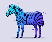 Colorful vibrant gradient blue purple zebra.