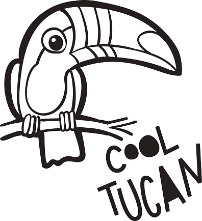 Coloring book  for adults. Bird Toucan,  in cartoon style.