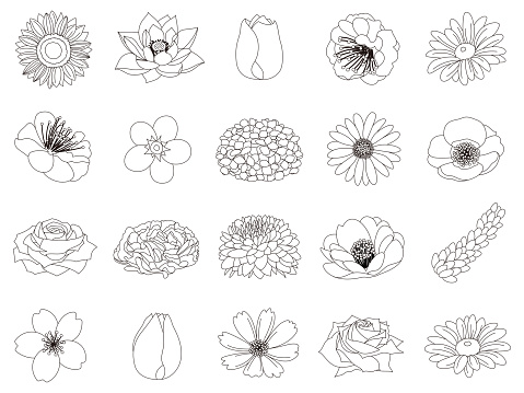 Coloring book of various flowers
