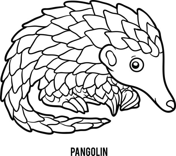 Download Pangolins Illustrations, Royalty-Free Vector Graphics & Clip Art - iStock