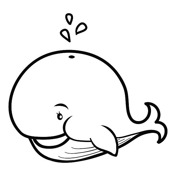 Cute Little Whale Outline Illustrations, Royalty-Free Vector Graphics
