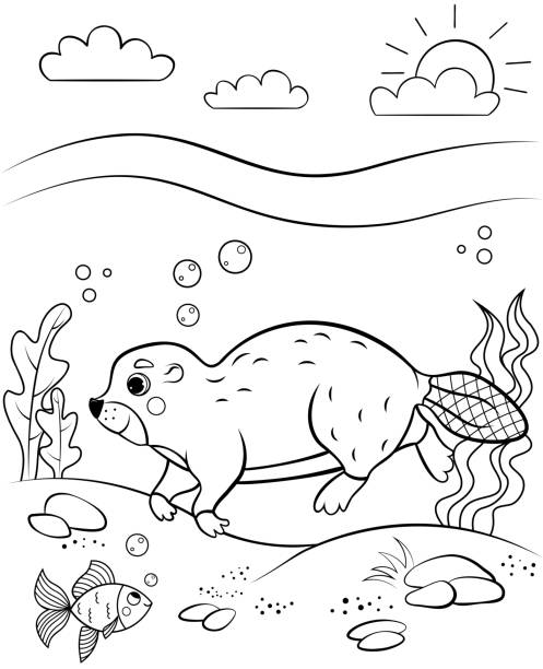 Coloring page outline of cute cartoon beaver swimming under water. Vector image with nature background. Coloring book of forest wild animals for kids.  printable of fish drawing stock illustrations