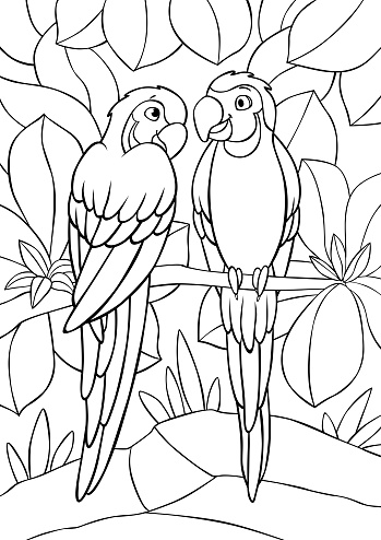 Coloring page. Two cute yellow macaw sits and smiles. They are in love.