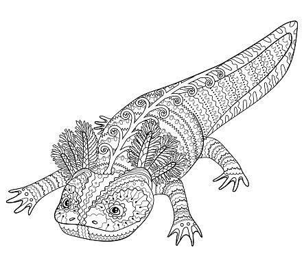 Coloring Page With Axolotl In Patterned Style Stock Illustration