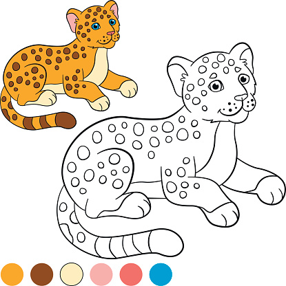 Coloring Page With Colors Little Cute Baby Jaguar Clipart Image