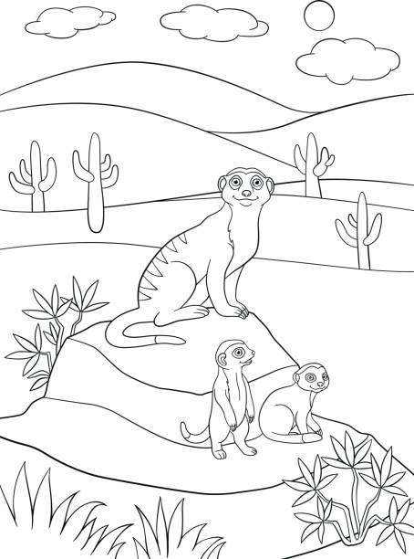 Download Best Mongoose Illustrations, Royalty-Free Vector Graphics & Clip Art - iStock