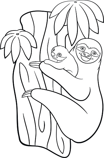Coloring Pages Mother Sloth With Her Little Cute Baby Stock
