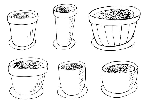 illustrations, cliparts, dessins animés et icônes de illustration vectorielle de coloriage. ensemble de pots de fleurs de dessin animé - hand draw jar