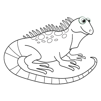 Colorless cartoon Salamander. Coloring pages. Template page for coloring book of funny lizard or dragon for kids. Practice worksheet or Anti-stress page for child. Cute outline education game. EPS10