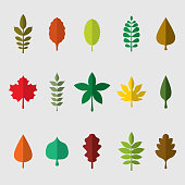 Colourful leaves set on gray background