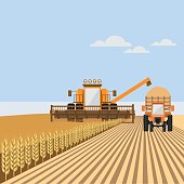 Combine harvester with tractor on the wheat field. Vector illustration