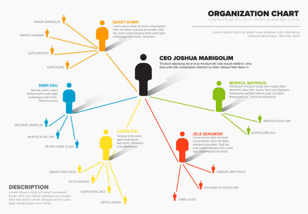 Company organization hierarchy schema diagram template Minimalist company organization hierarchy schema diagram template mind map template stock illustrations