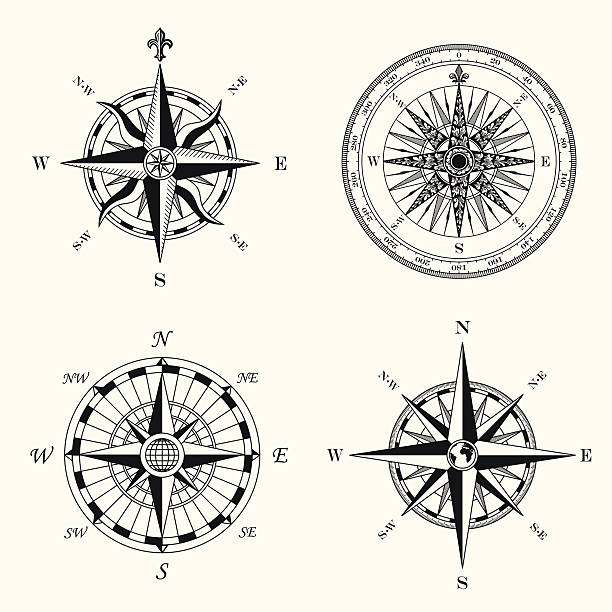 compass rosen - kompass stock-grafiken, -clipart, -cartoons und -symbole