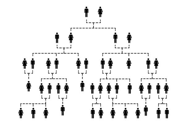 ilustraciones, imágenes clip art, dibujos animados e iconos de stock de complicado árbol genealógico de varias generaciones sobre blanco - family tree