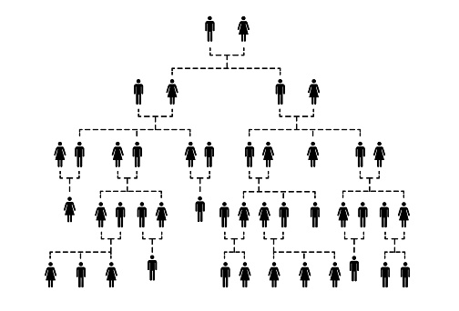 Complicated Family  Tree  Of Several Generations On White  Complicated Family  Tree  Of Several Generations On White
