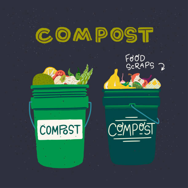 illustrations, cliparts, dessins animés et icônes de bacs à compost avec des restes de nourriture clipart - compost