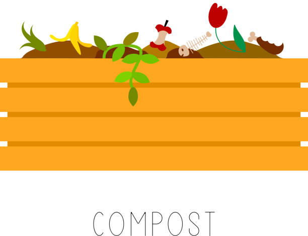 illustrations, cliparts, dessins animés et icônes de illustration vectorielle de compost - compost
