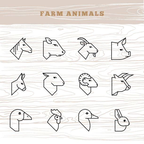 Concept of farm animals. Vector icon set in a linear style of farm animals silhouettes Concept of farm animals. Vector icon set in a linear style of farm animals silhouettes. pig icons stock illustrations