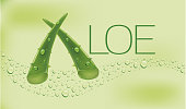 Aloe vera green shiny sparkles - illustrations