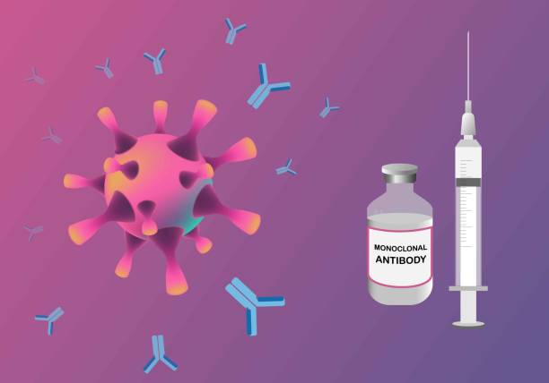 Concepts of monoclonal antibody for coronavirus treatment vector art illustration