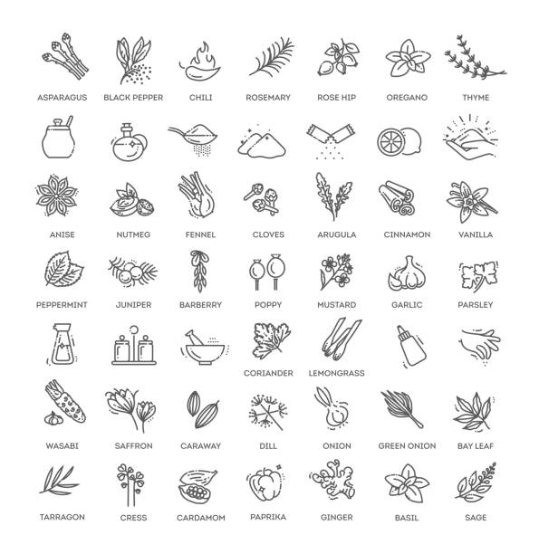 Condiment icons set. Outline set of condiment vector icons Thin line spices, condiments and herbs icons set arugula stock illustrations