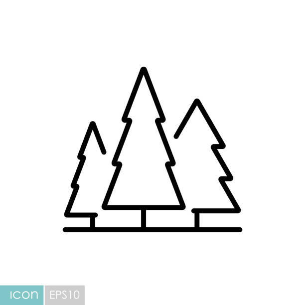 Conifer forest vector icon. Nature sign Conifer forest vector icon. Nature sign. Graph symbol for travel and tourism web site and apps design, logo, app, UI pine tree stock illustrations