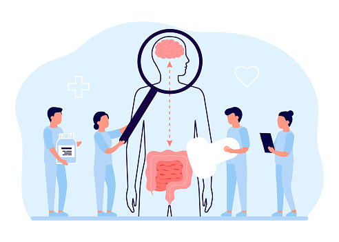 Connection of health human brain and intestine gut. Doctor checkup relation organs, gut second brain. Unity regulation, interaction of mental and digestive system person, emotion balance. Vector