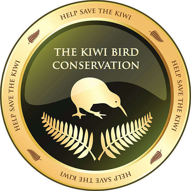 bildbanksillustrationer, clip art samt tecknat material och ikoner med conservation of the kiwi bird - gold reserve