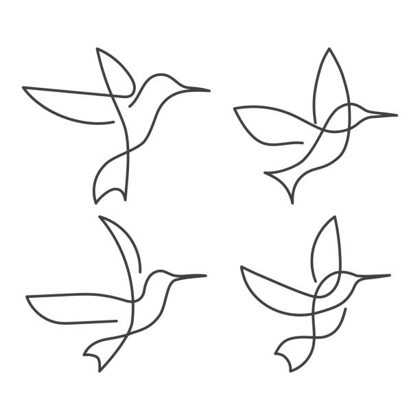 Continuous line bird White one line drawing Set of Continuous line birds. Vector illustration. White one line drawing. Concept for icon, card, banner, poster, flyer bird drawings stock illustrations