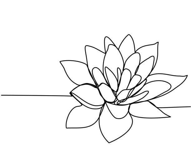 蓮の連続線画。美しさと自然の概念、愛。水生植物の生態スイレンの花の手描きのデザインアウトラインスケッチ。ベクターの図。 - 蓮の花点のイラスト素材／クリップアート素材／マンガ素材／アイコン素材