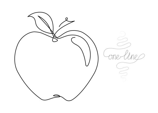bildbanksillustrationer, clip art samt tecknat material och ikoner med kontinuerlig en linje konst ritning av äpple - apple
