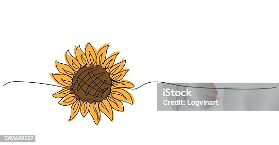 istock Continuous one line drawing of sunflower 1393609502
